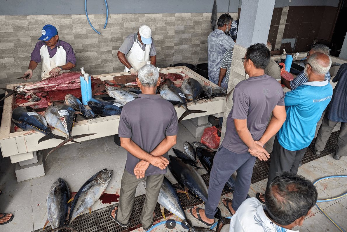 މަސްމާރުކޭޓުން މަސްކެނޑުމުގެ ޚިދުމަތް އަލުން ފެށުމާ ގުޅޭގޮތުން ރައްޔިތުންގެ ޚިޔާލު ހޯދަނީ